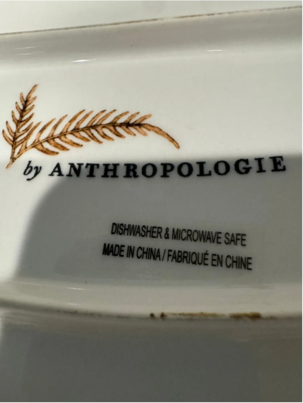 Anthropologie Mushroom & Fern Oval Serving Platter, 19.5”x13” Green and Brown